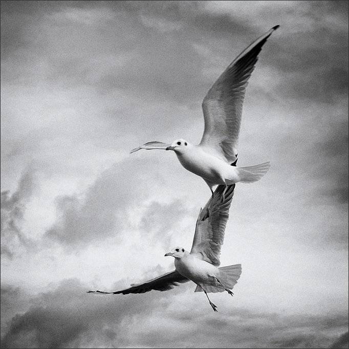 , Сергей Фудиненко