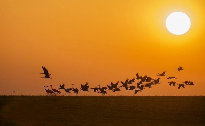 утро, Александр Маркелов