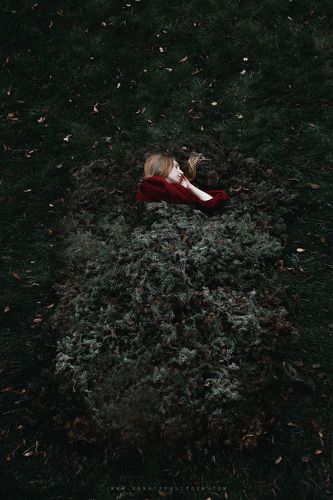 Спящая во мхе