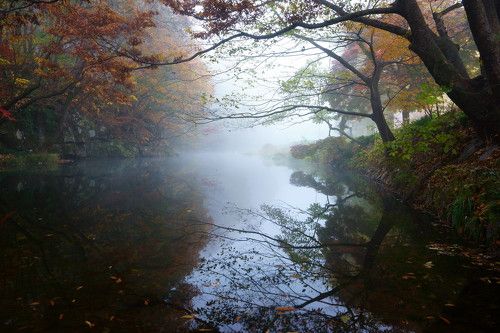 Misty stream