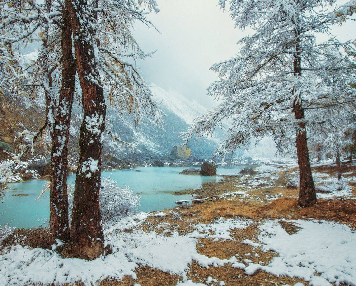 алтай, актру, Владимир Липецких
