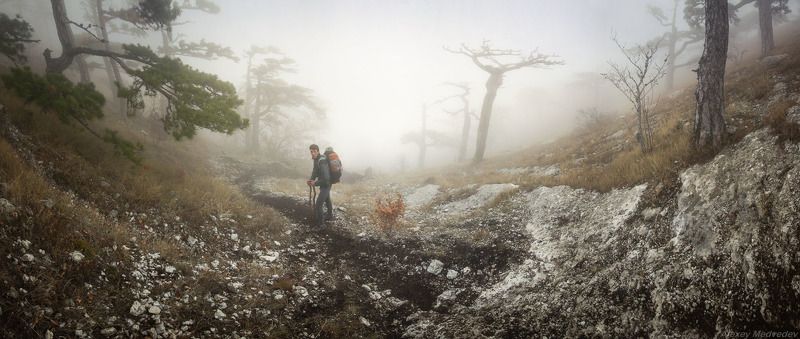 крым, горы, туман, мистика, облако, яйла, ай-петри, лес Птеродактилей высматривать фото превью