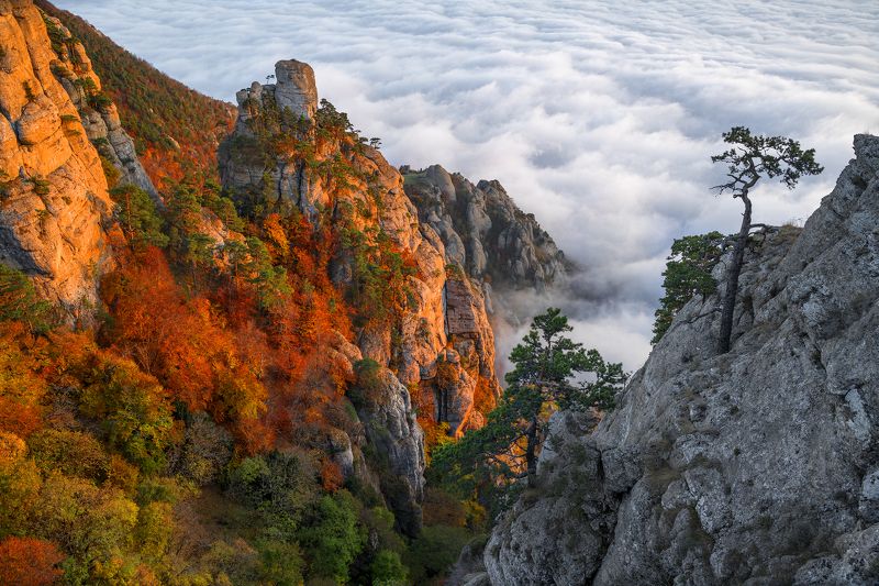 Крым, Демерджи Вечер над Демерджи фото превью