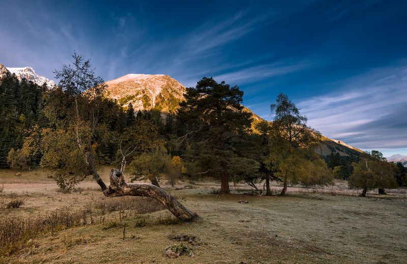 *** фото превью