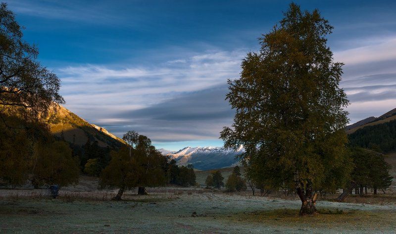 *** фото превью