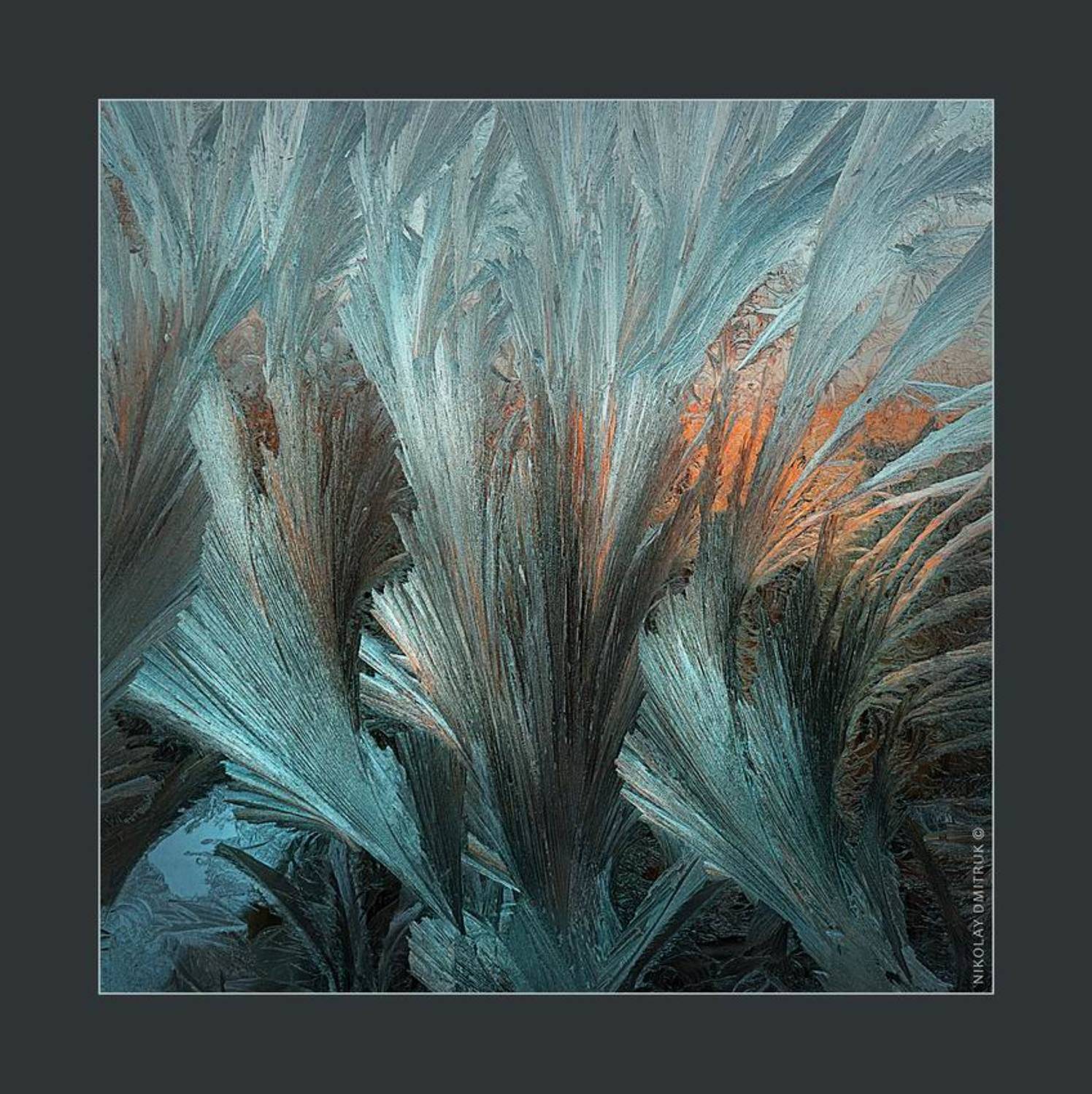 природа, минимализм, мороз, музыка, николай дмитрук