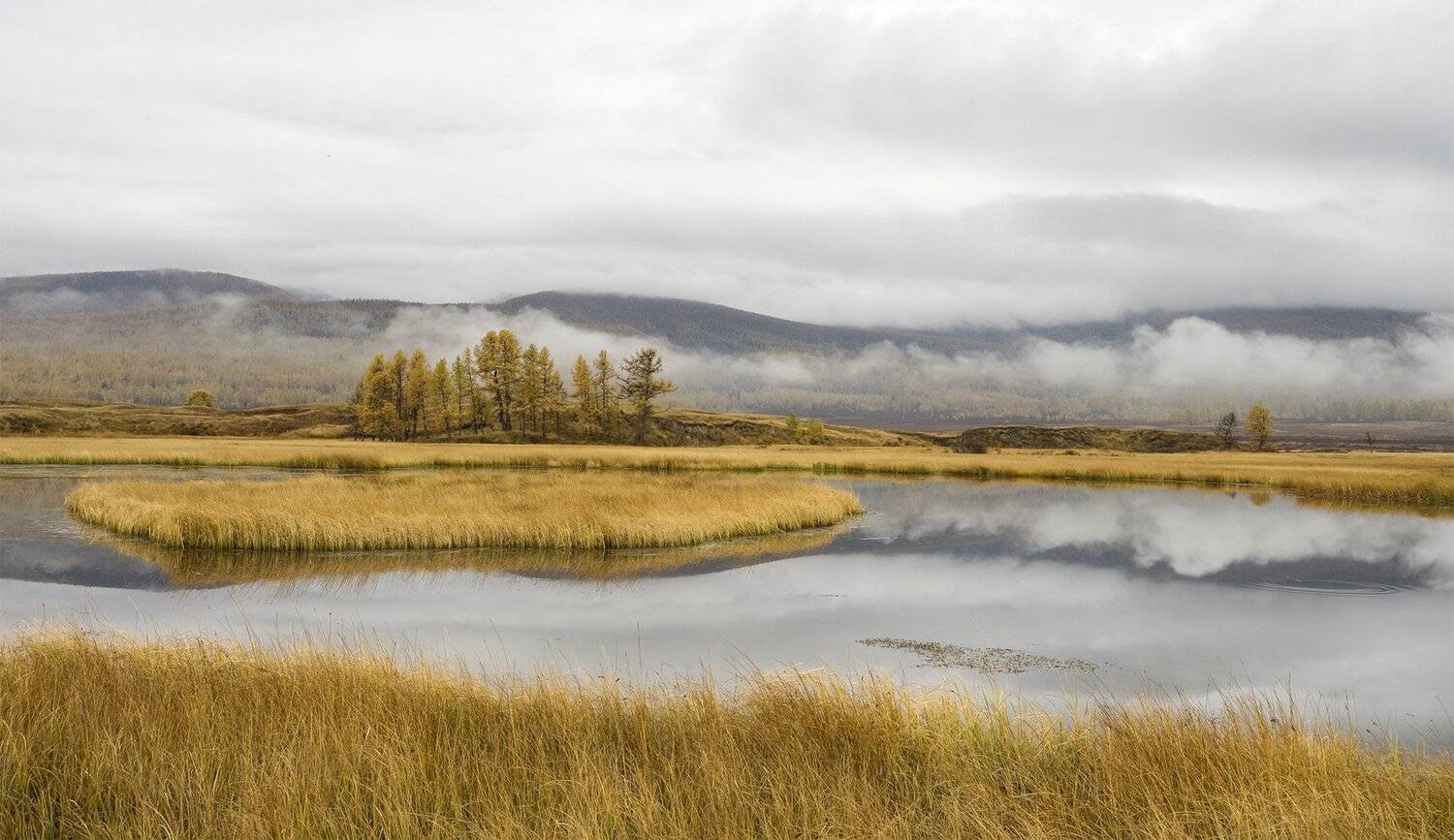 , Лещёнок Александр