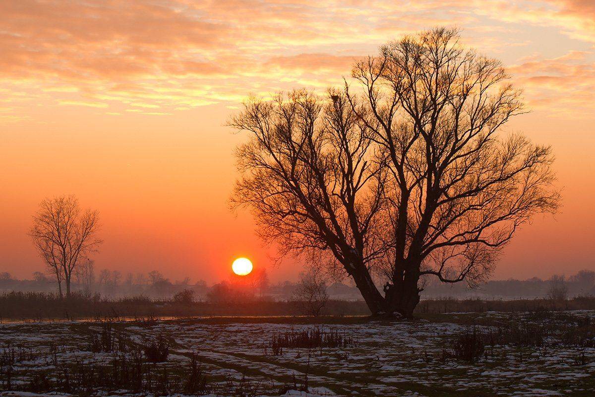 , Pawel Plucinski