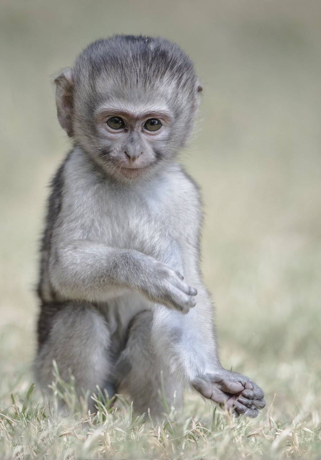 мама, Александр Маркелов