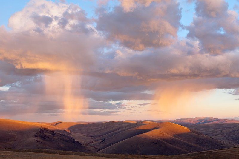 В закатном свете. фото превью