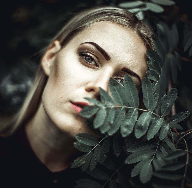 фото превью