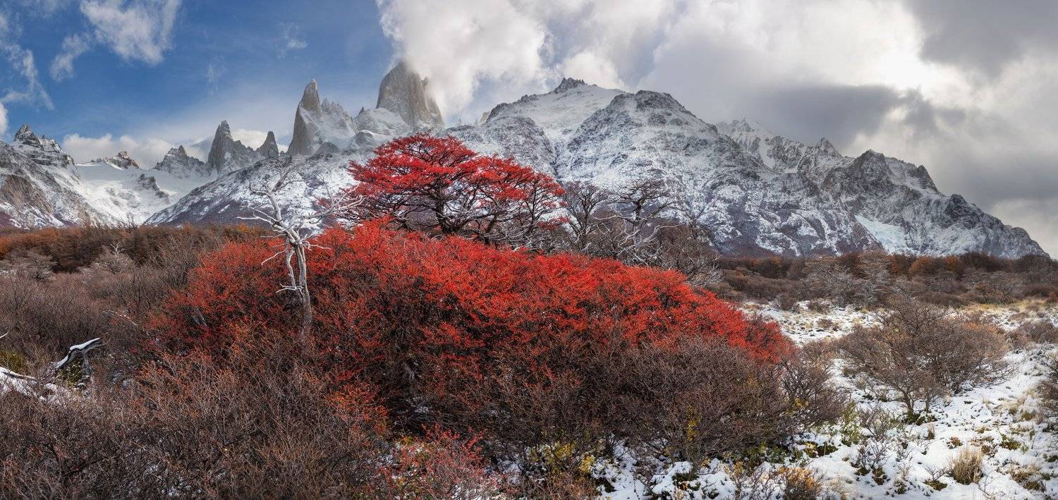 Патагония, Алексей Сулоев