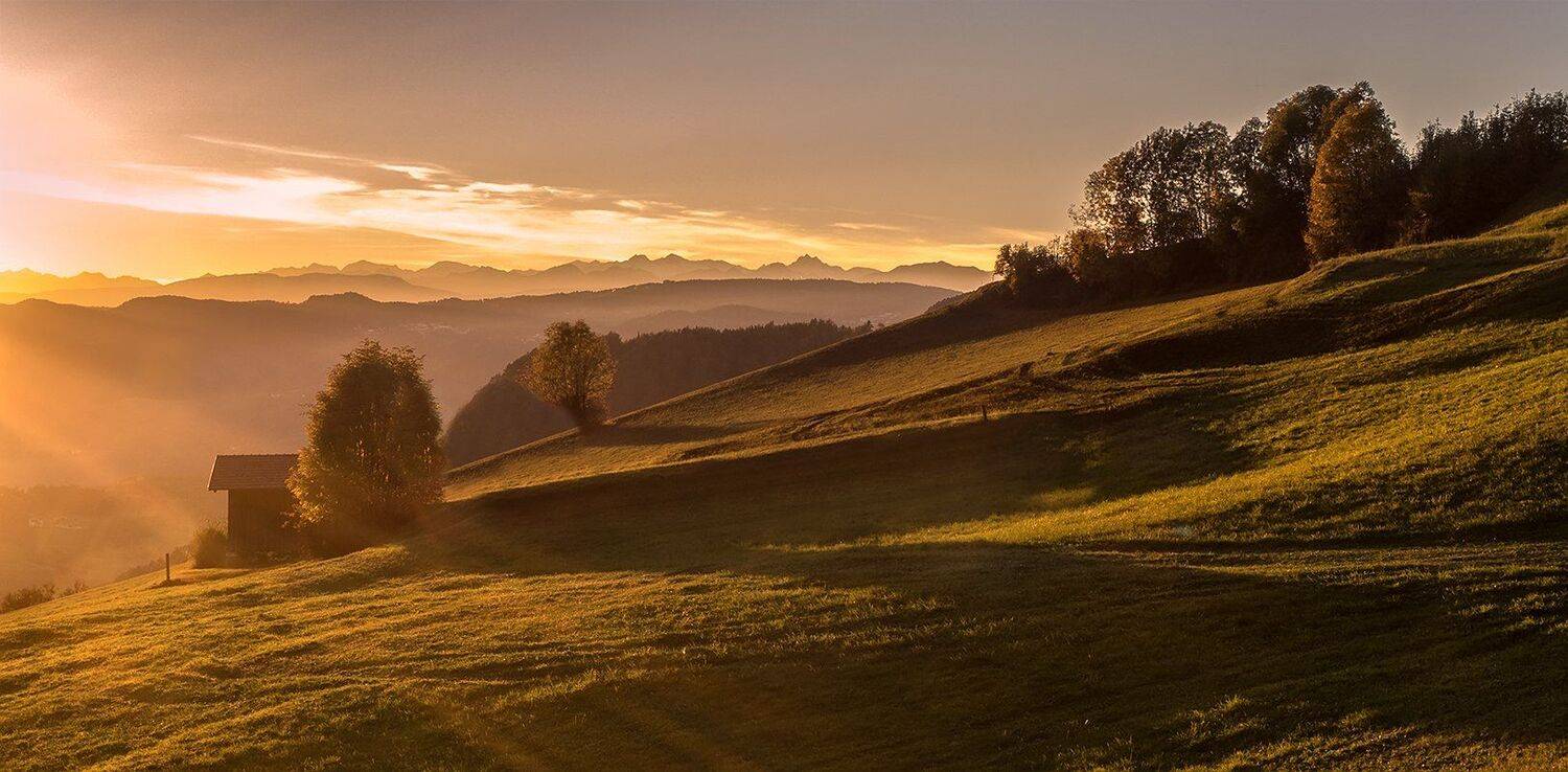 , Игорь Дубровский