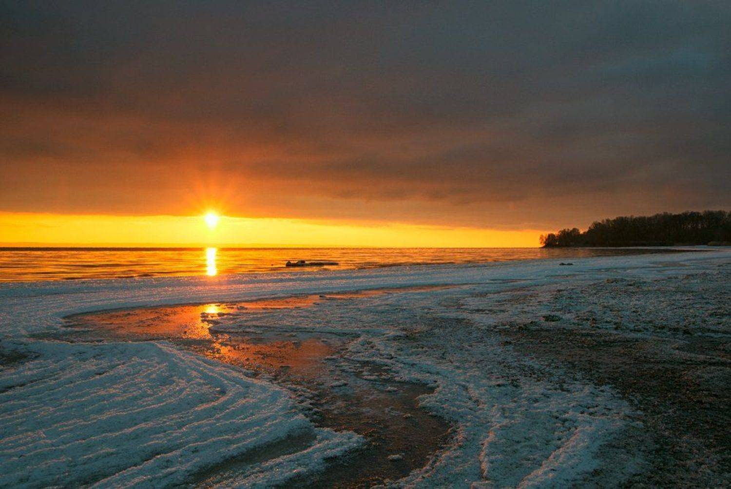 , Александр Войтенко