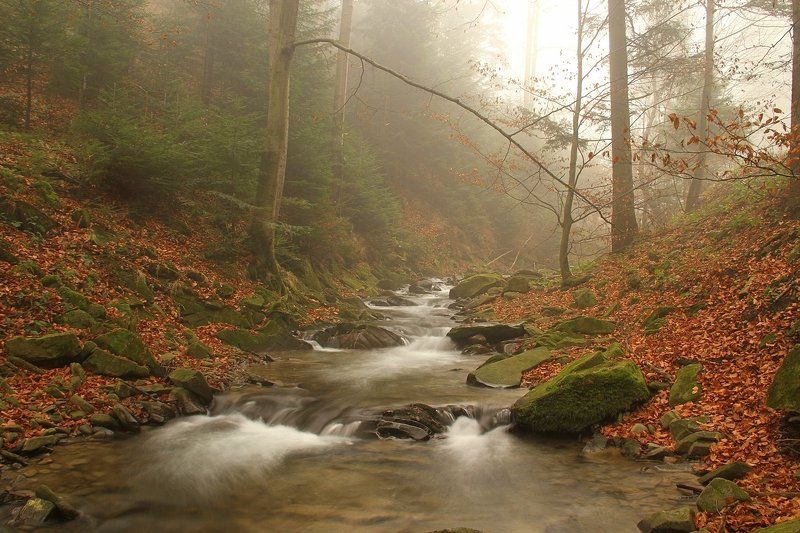 November... фото превью
