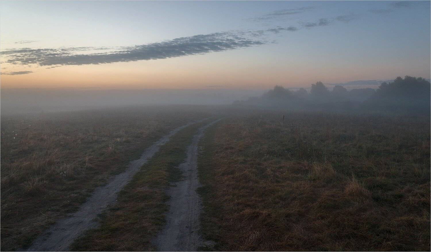 , Николай Шахманцир