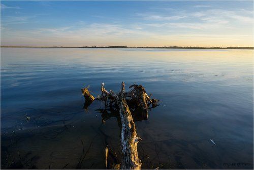 Летнее утро