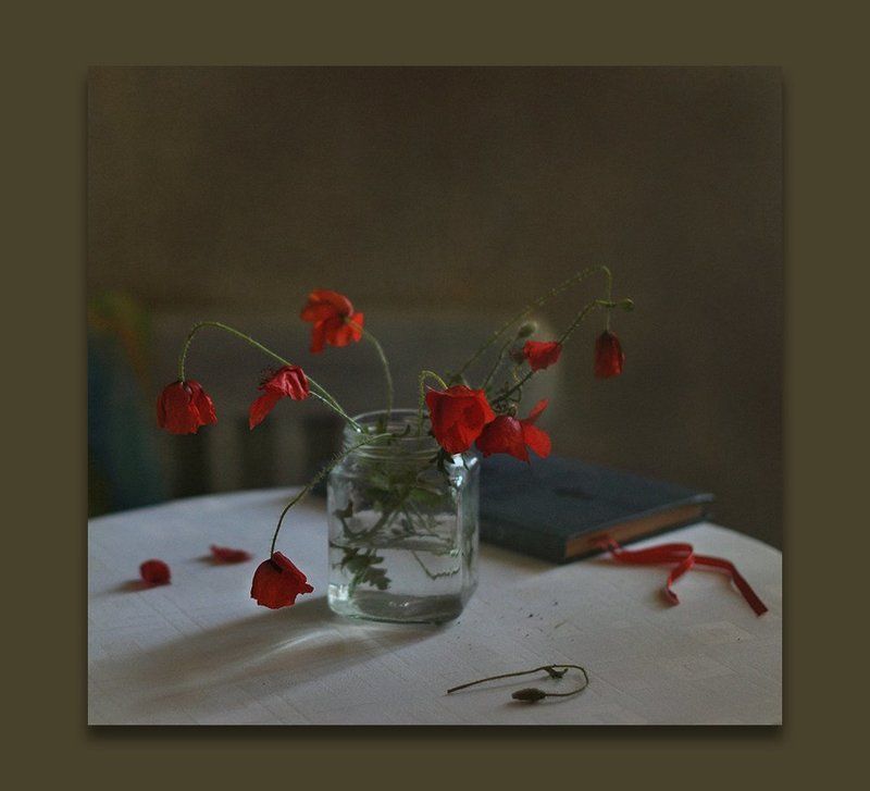 Алых бабочек развернутые крылья... фото превью