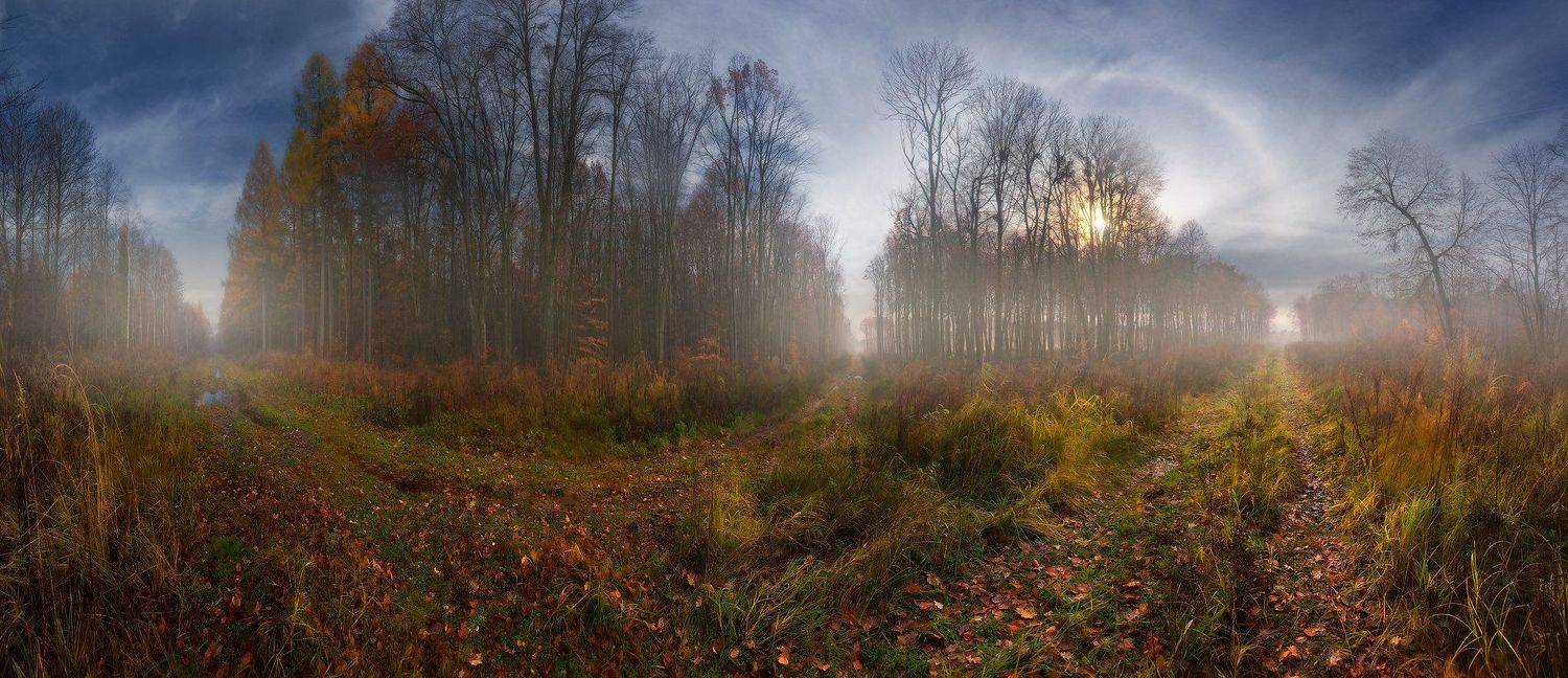 осень, ноябрь, лес, утро, дороги, перекресток, солнце, туман, гало, Владимир
