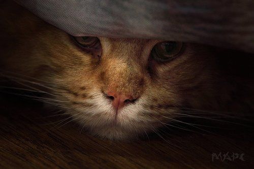 Налетела грусть.