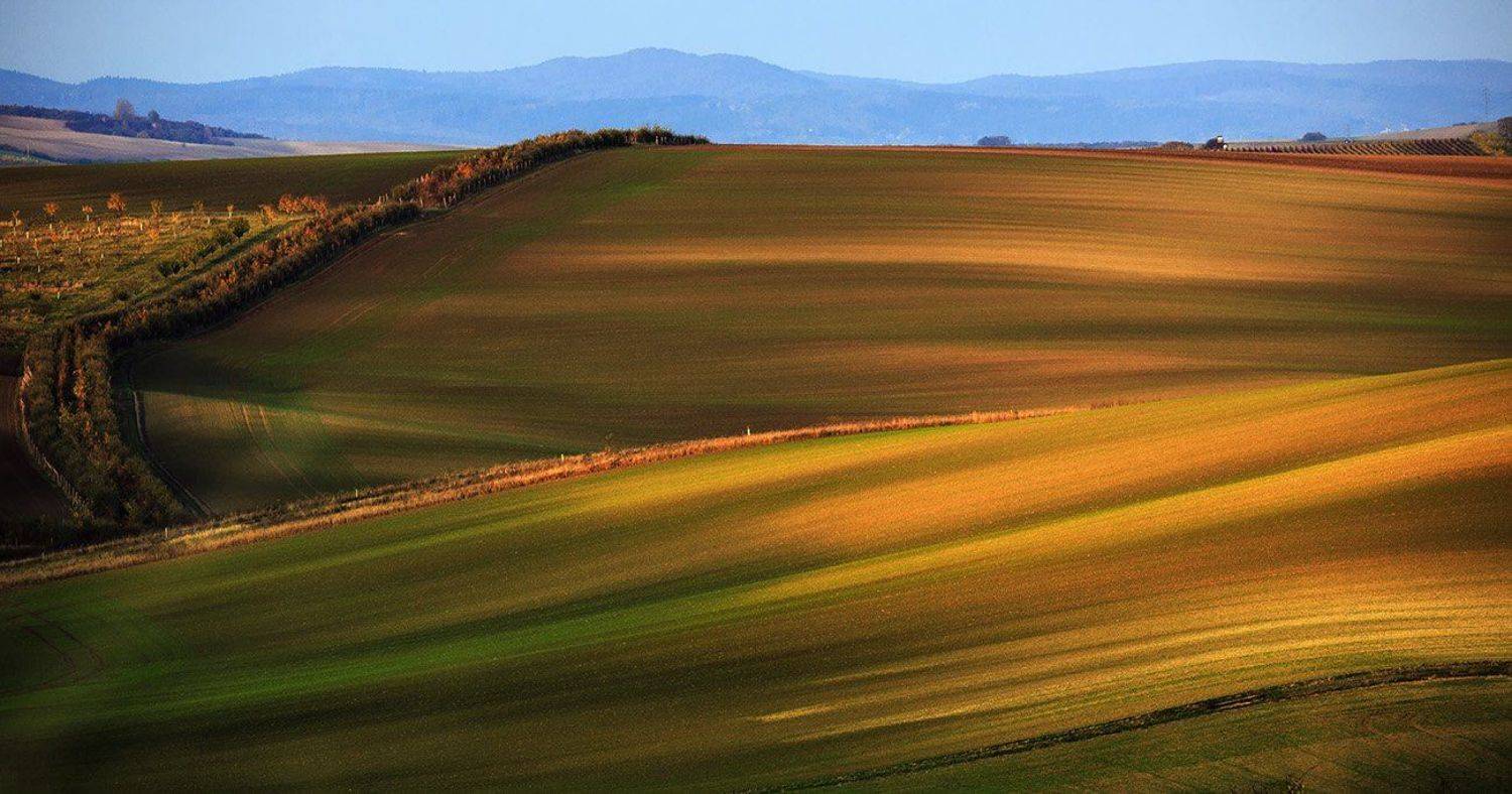 , Владимир K.