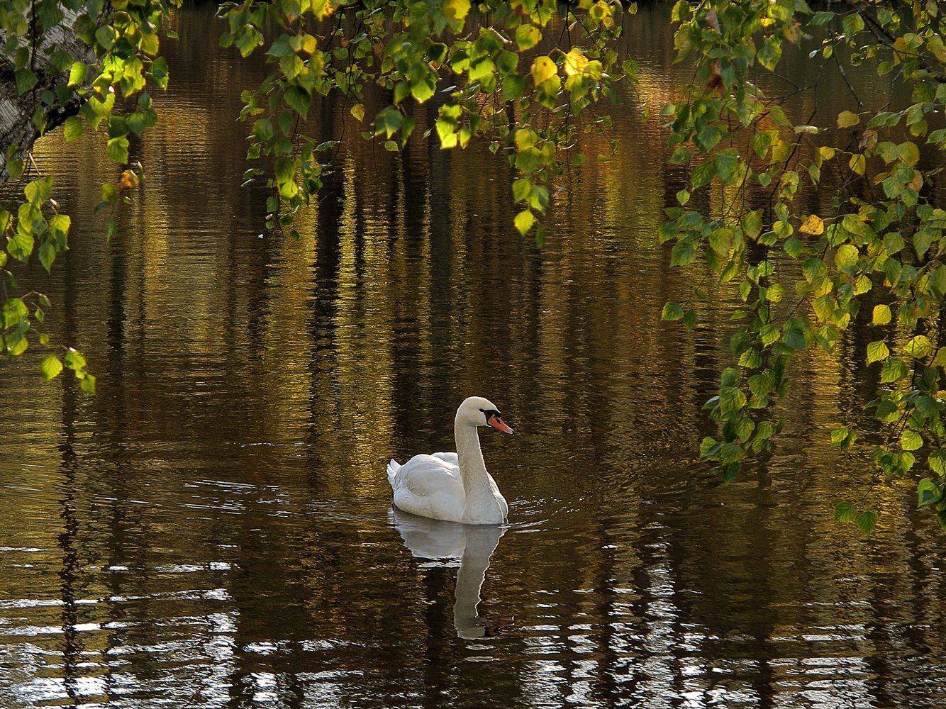 , ТАТЬЯНА ЗАХАРОВА
