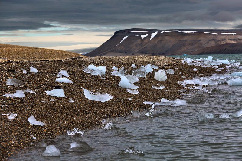 шпицберген, арктика Белая стая фото превью