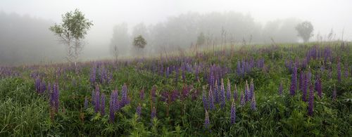 Русский пейзаж )