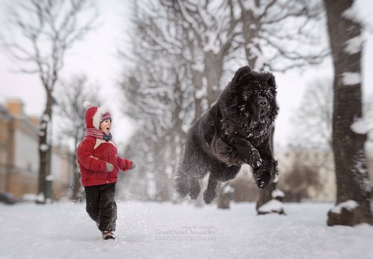 from, project, Андрей Селиверстов