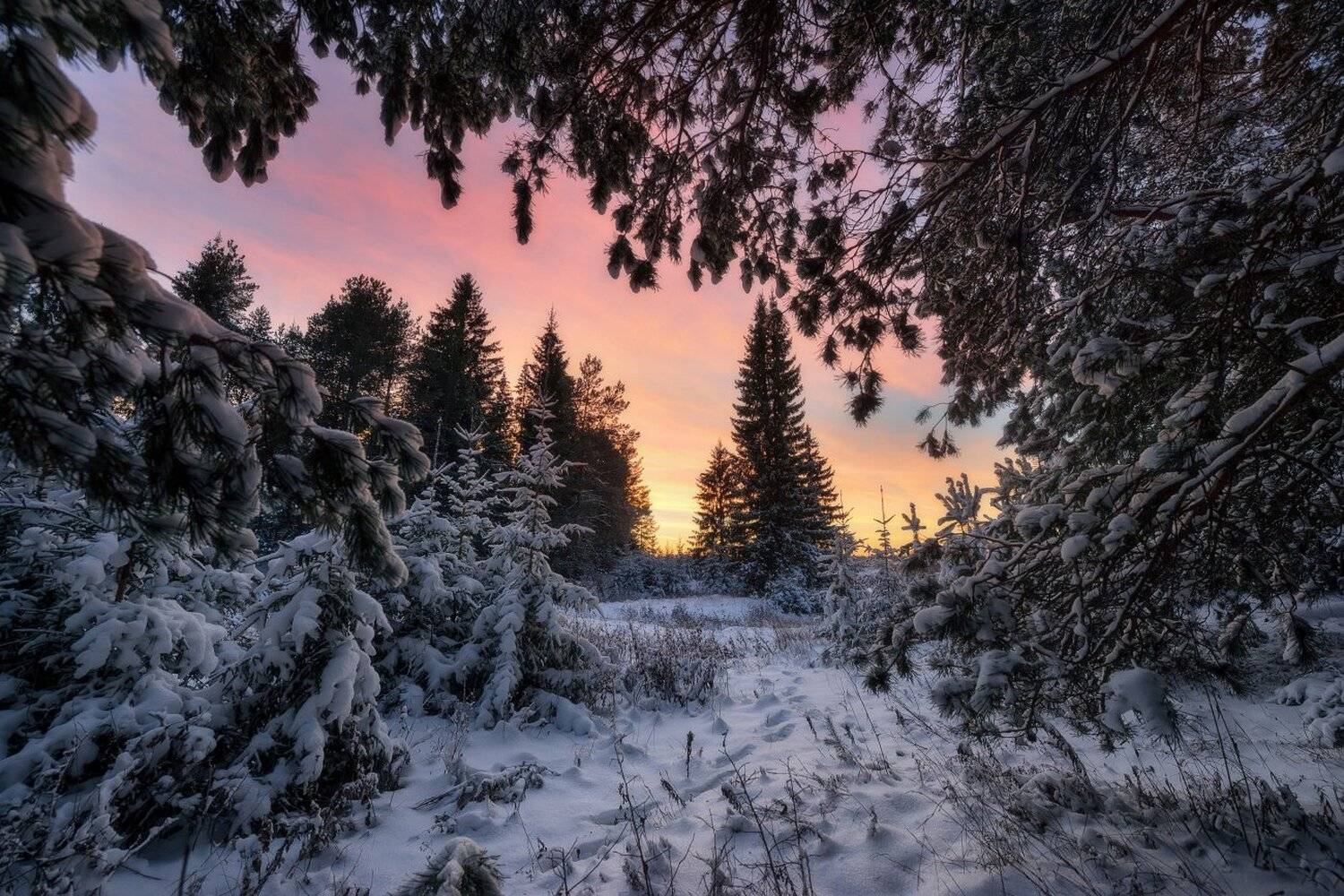 , Устюжанин Михаил