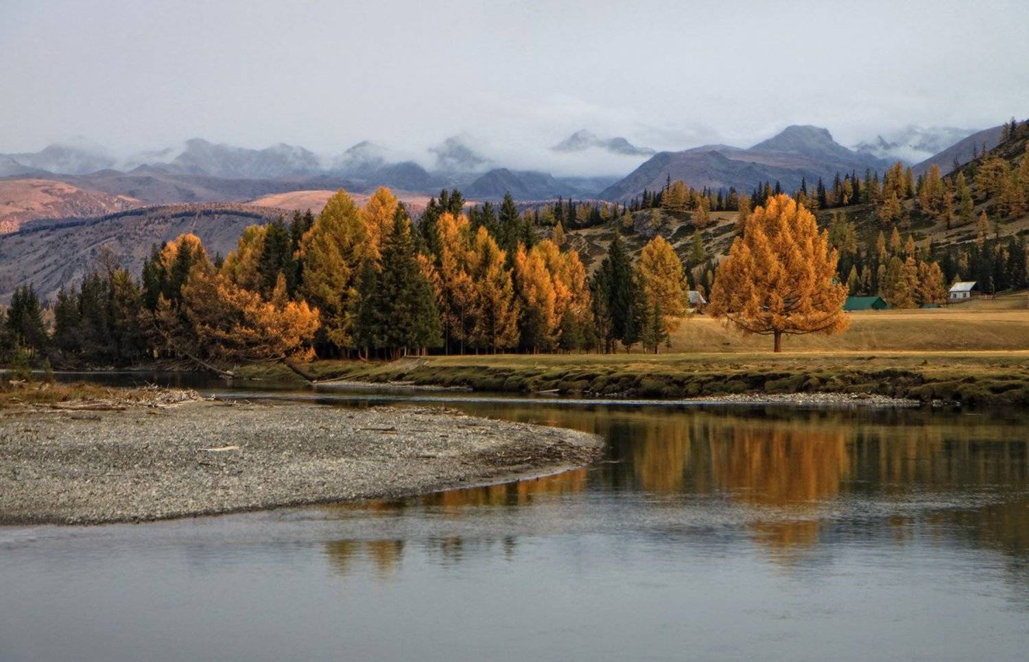 , Галина Хвостенко