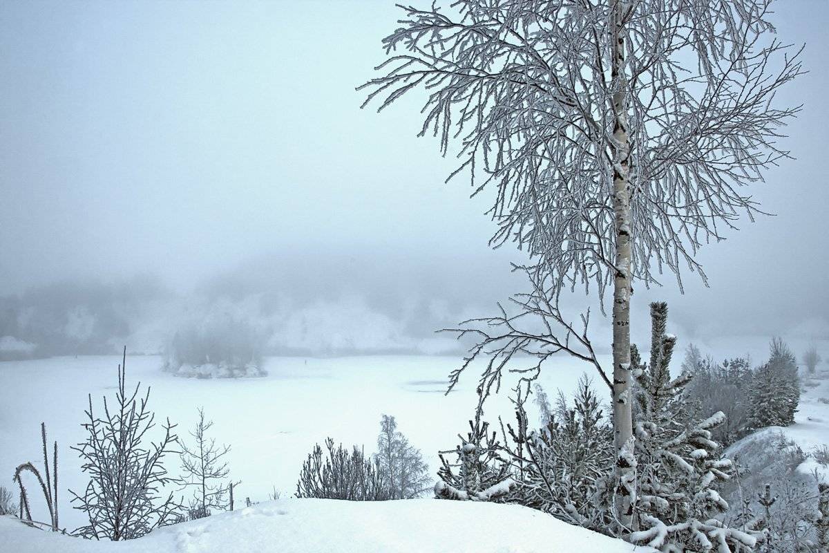 , Валерий Кондратов