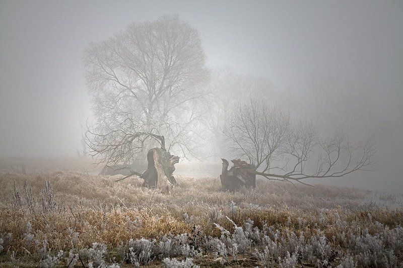 ... фото превью