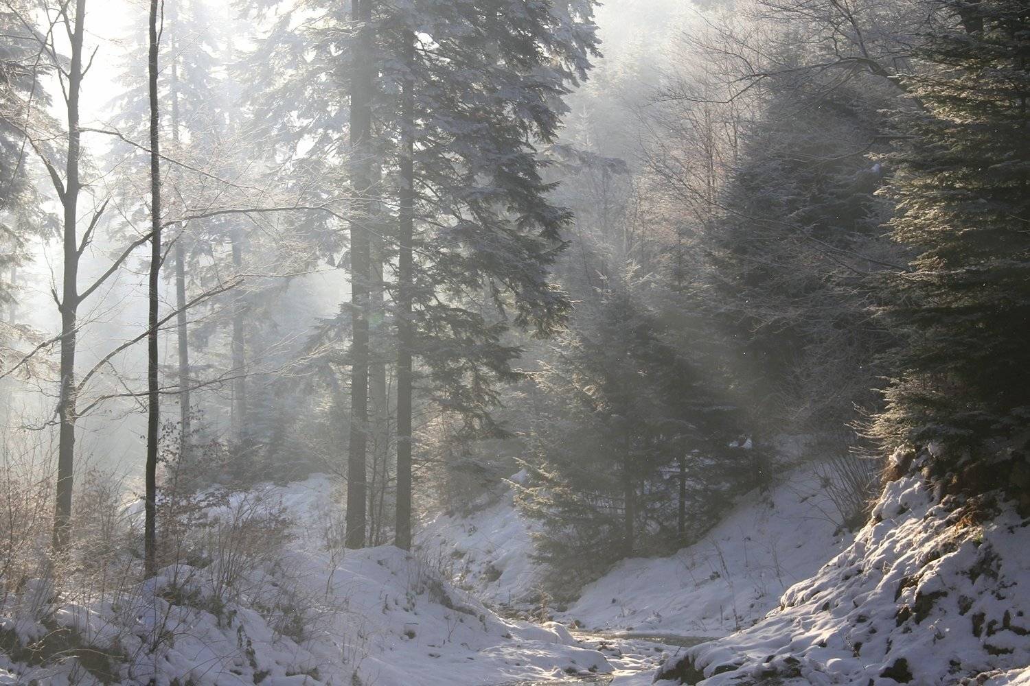 , Krzysztof Tomasiak