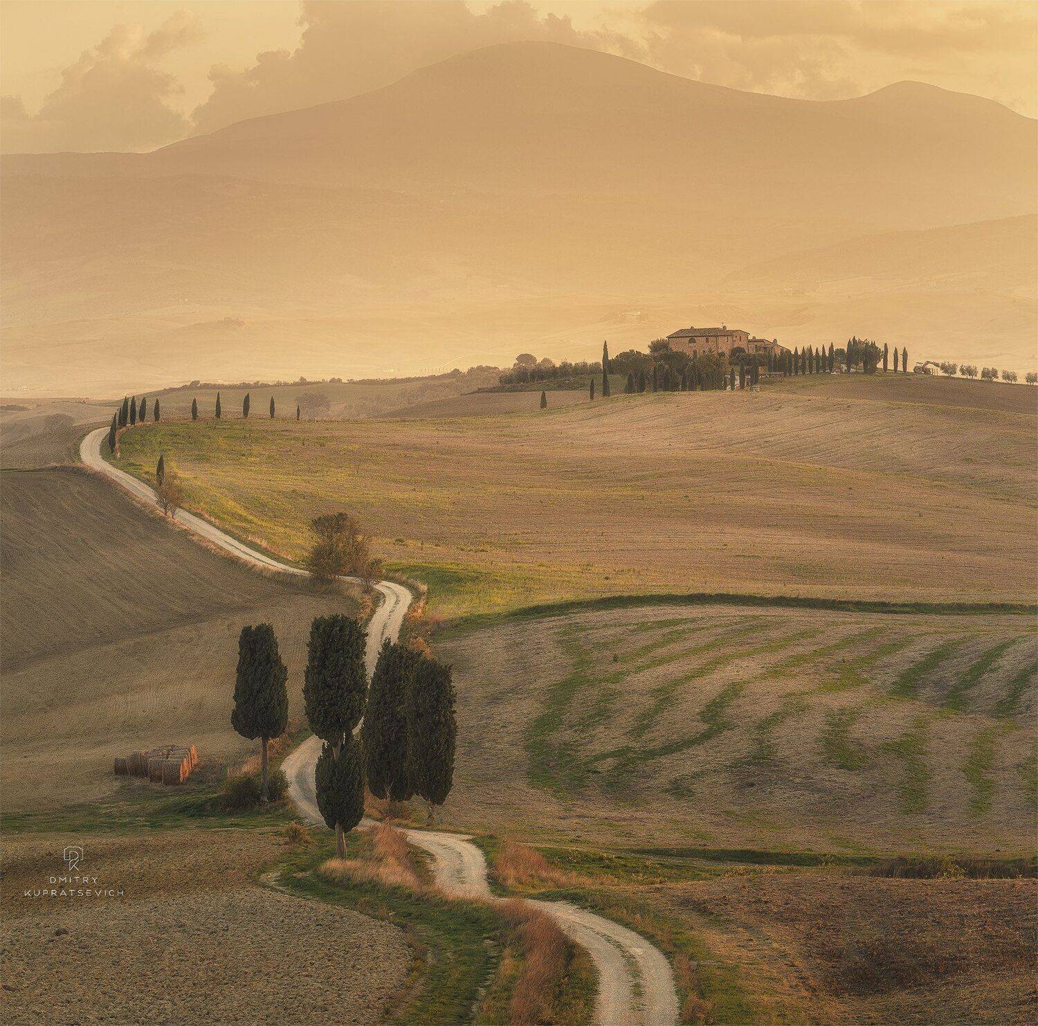 , Дмитрий Купрацевич