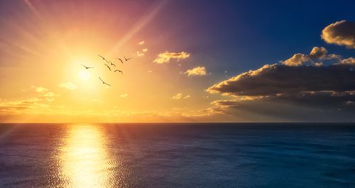 In the rays of the setting sun..
