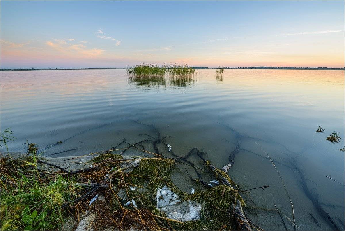 Щучье, Щучинский, Курганская, Песчанское, Большая Рига, Рига, мужчина, Кутыгин,летний пейзаж, озеро, коряга, Кутыгин Эдуард
