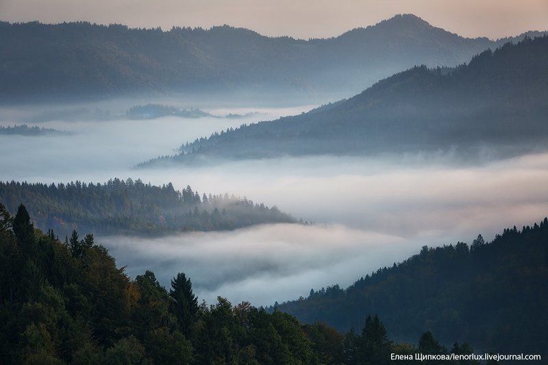 Туманная река. Словения фото превью