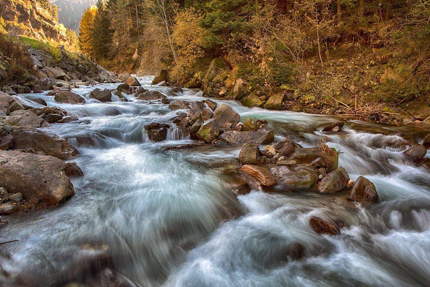 , Игорь Дубровский