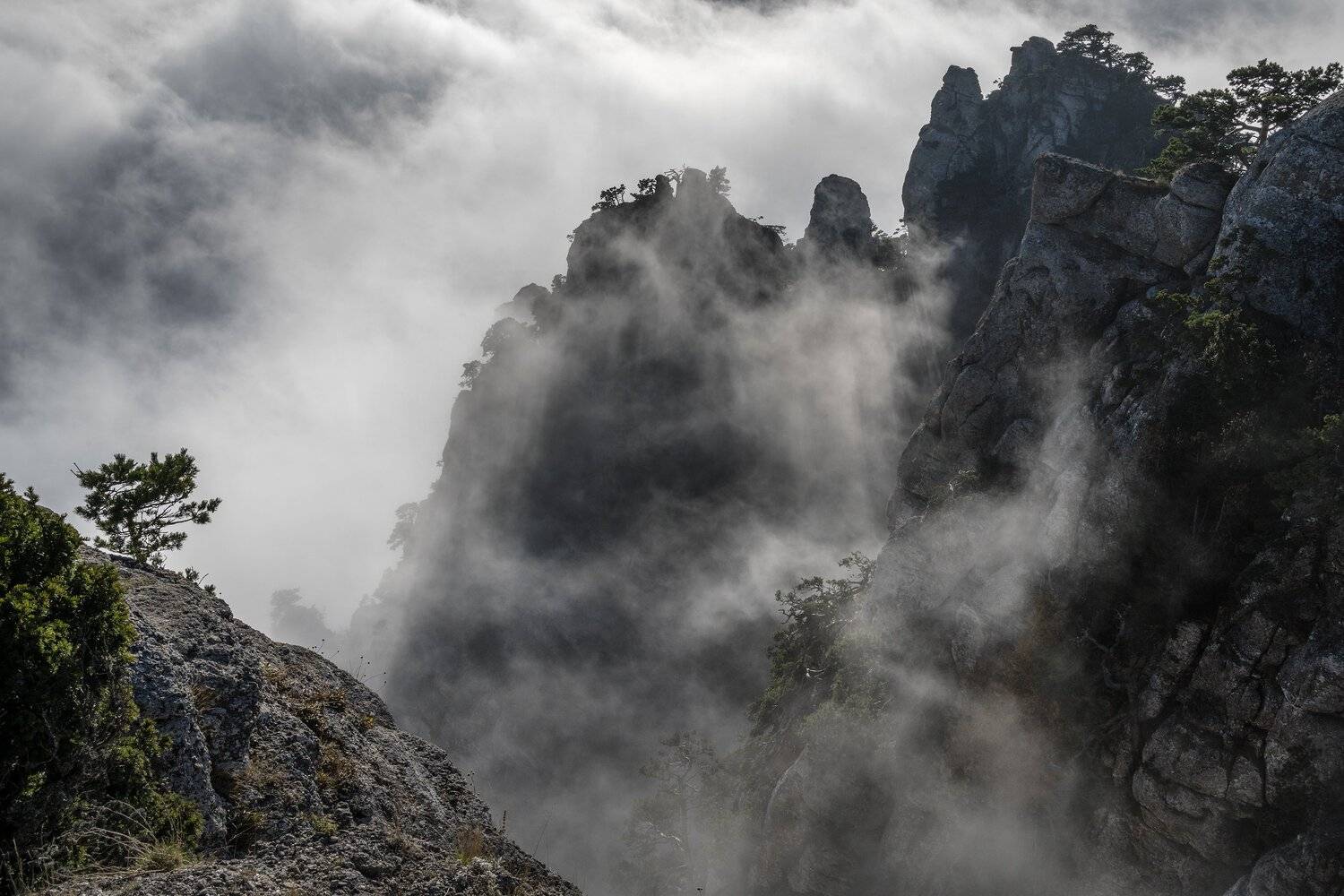 Крым, Демерджи, Владимир Рябков