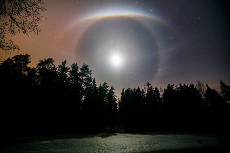 гало, луна, ночь, лес, озеро Божье око фото превью