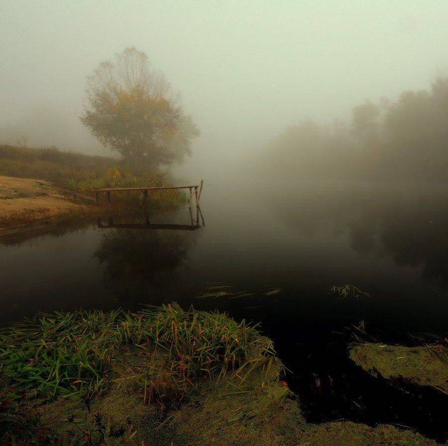 осень, река, туман, утро, Петриченко Валерий
