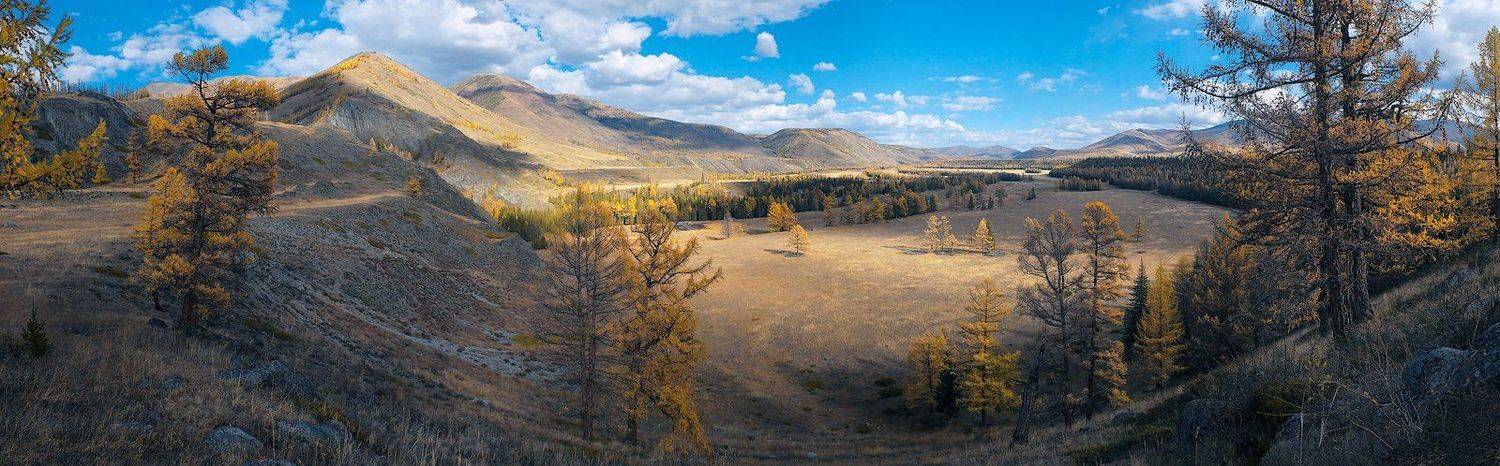 степь самаха, река, аргут, джазатор, осень, облака, тени, лиственницы, горный алтай, Валерий Пешков