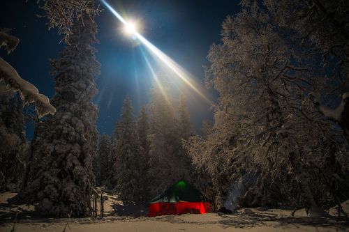 домик в лесу