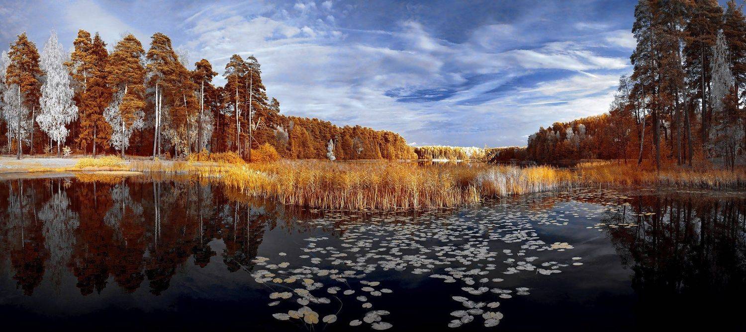 infrared,ик-фото,инфракрасное фото,инфракрасная фотография,пейзаж,природа,беларусь,осень, Sixten ( Сергей )