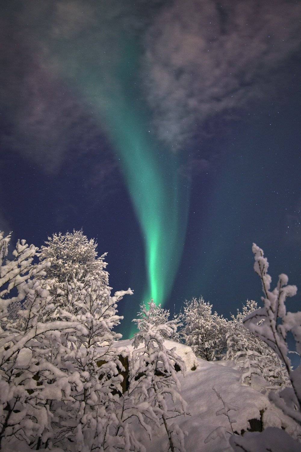 сияние мурманская область, Дмитрий