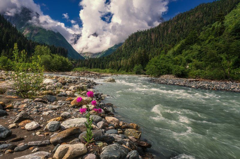 На берегу Аманауза фото превью