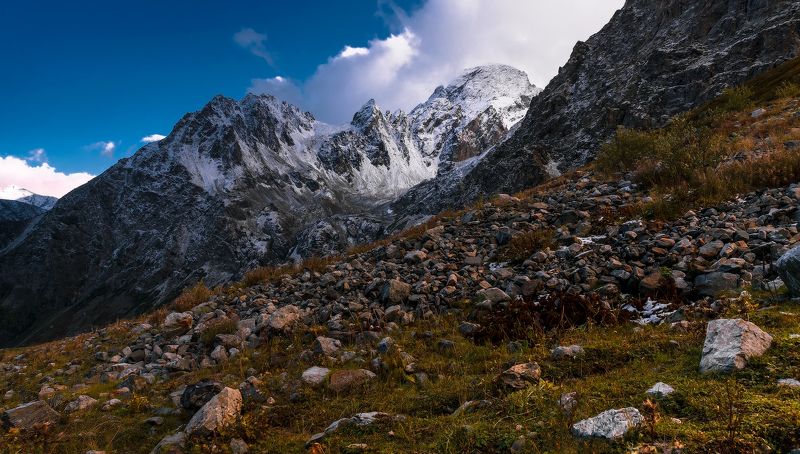 София... фото превью