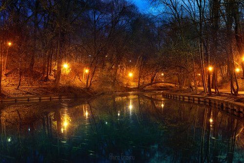 Magical night IV