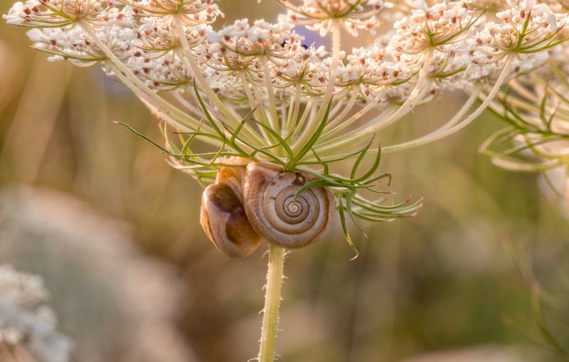 Воспоминание о лете фото превью